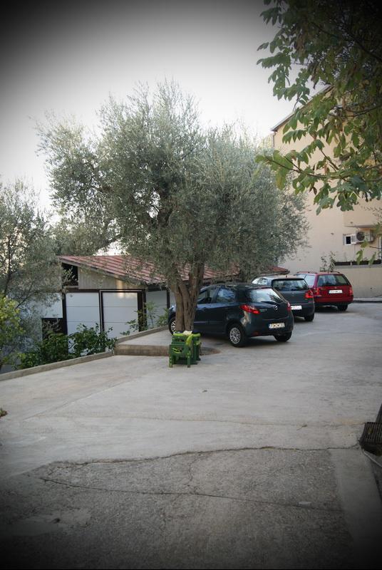 Guest House Ratko Rafailovici Exterior photo